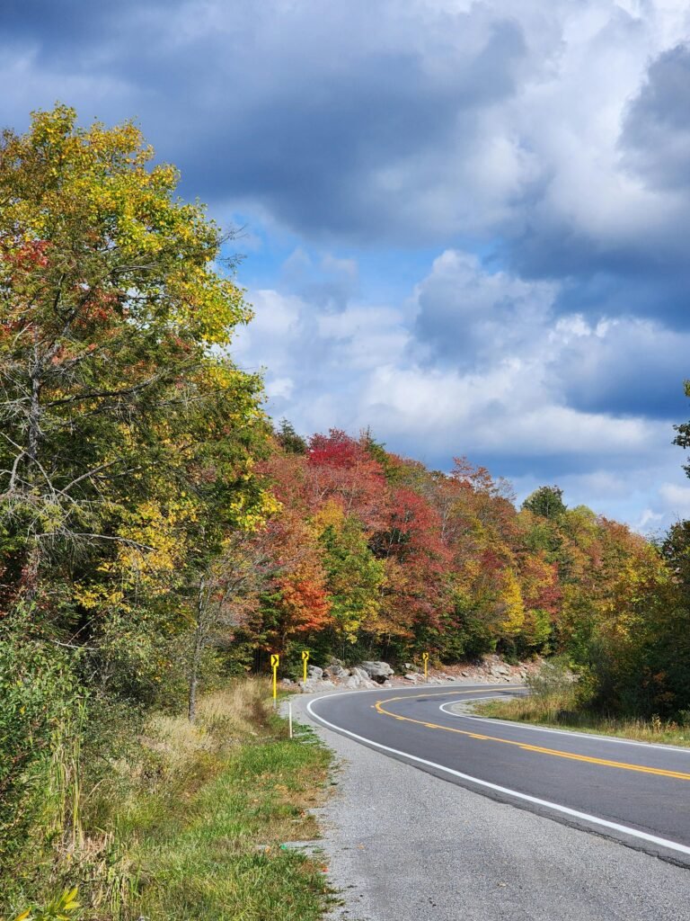 pexels-angel-kawasaki-2154083788-34016359