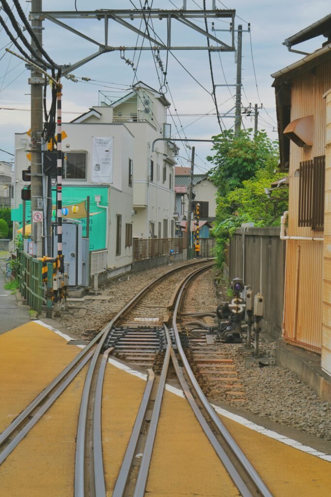 pexels-roy-135943799-29322974